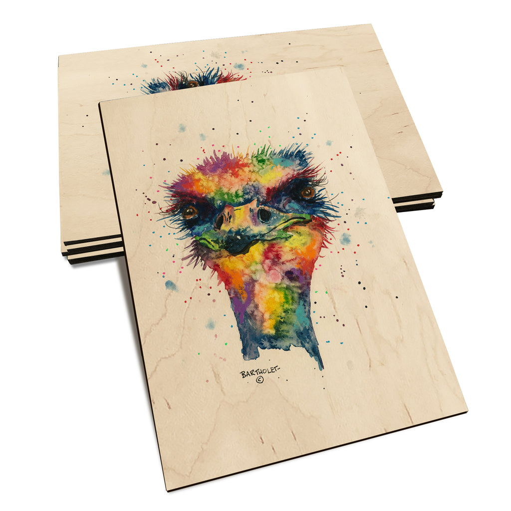 Bartholet's Rainbow Ostrich  - Classic Edge Classic Edge Postcard (5pk // $2.80ea)