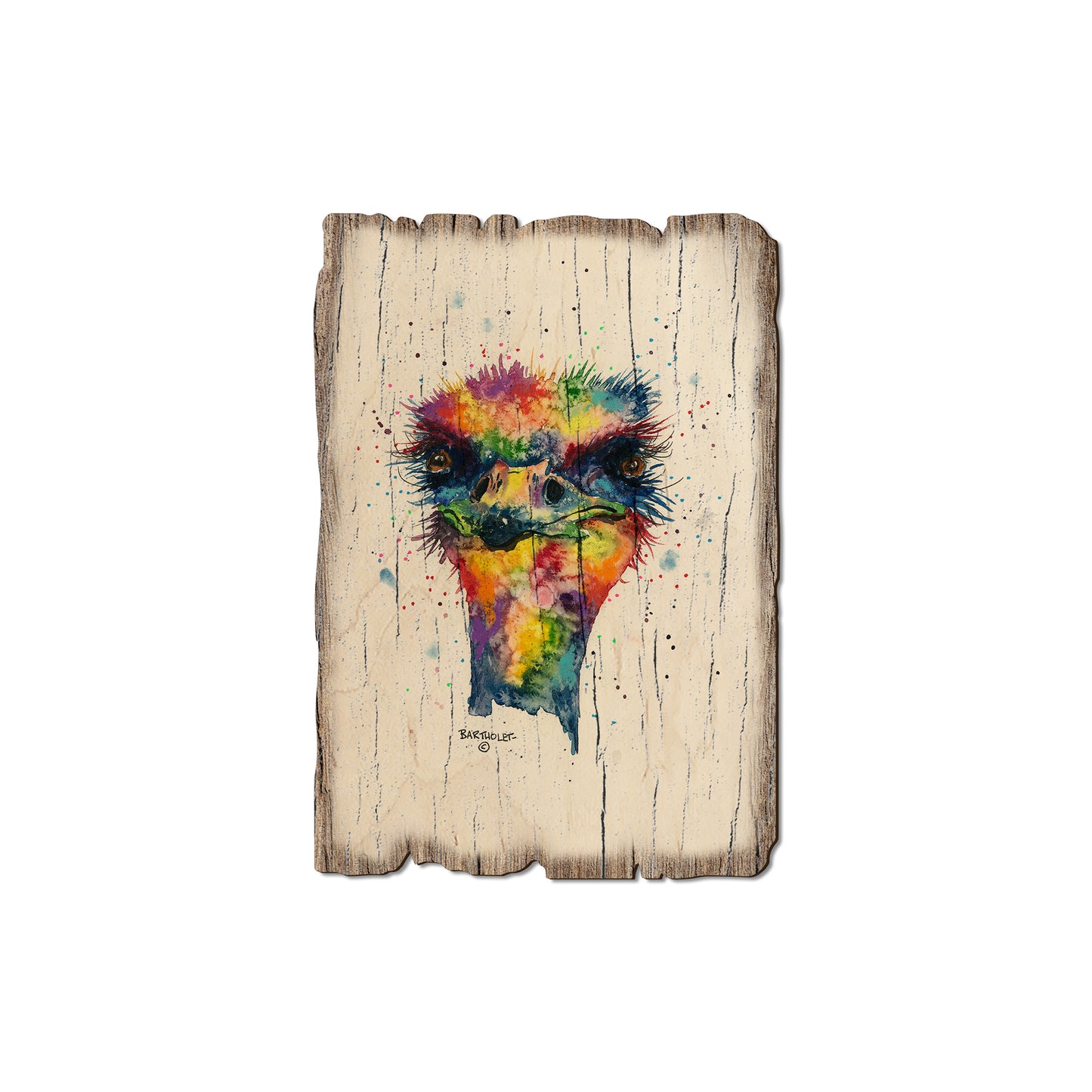 Bartholet's Rainbow Ostrich - Rustic Edge Postcards & Magnets Rustic Edge Magnet (5pk // $2.80ea)