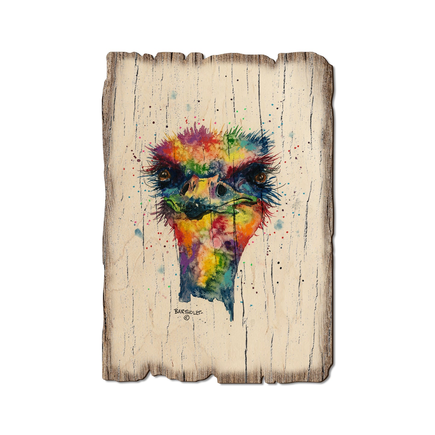 Bartholet's Rainbow Ostrich - Rustic Edge Postcards & Magnets Rustic Edge Postcard (5pk // $2.80ea)