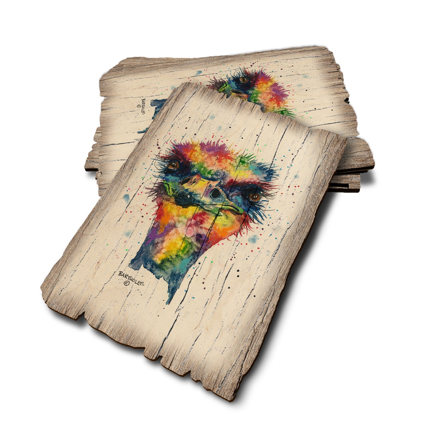 Bartholet's Rainbow Ostrich - Weathered Edge Rustic Edge Postcard (5pk // $2.80ea)