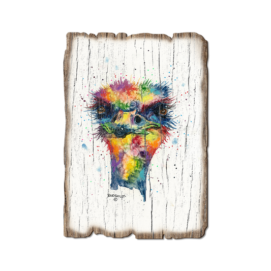 Greeting Card: Weathered Edge - Bartholet's Rainbow Ostrich (Pack of 5)