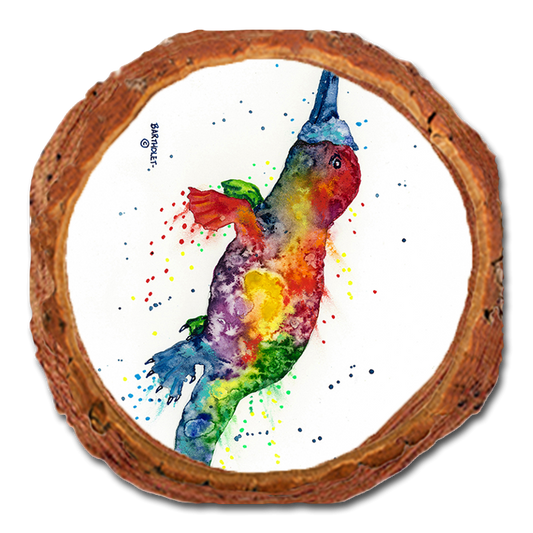Coaster: Live Edge - Bartholet's Rainbow Platypus (Pack of 5)