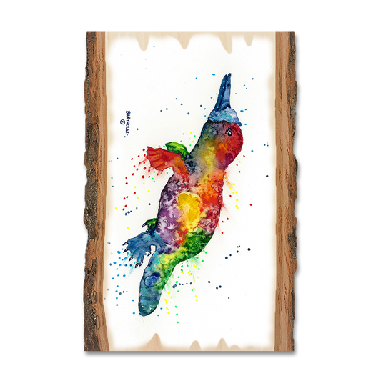 Magnet: Live Edge - Bartholet's Rainbow Platypus