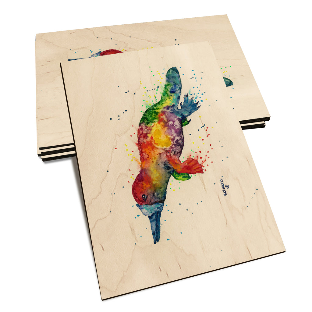 Bartholet's Rainbow Platypus  - Classic Edge Classic Edge Postcard (5pk // $2.80ea)