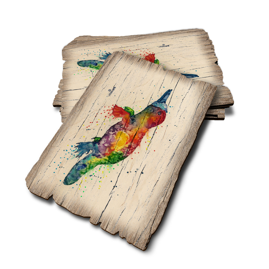 Bartholet's Rainbow Platypus - Weathered Edge Rustic Edge Postcard (5pk // $2.80ea)