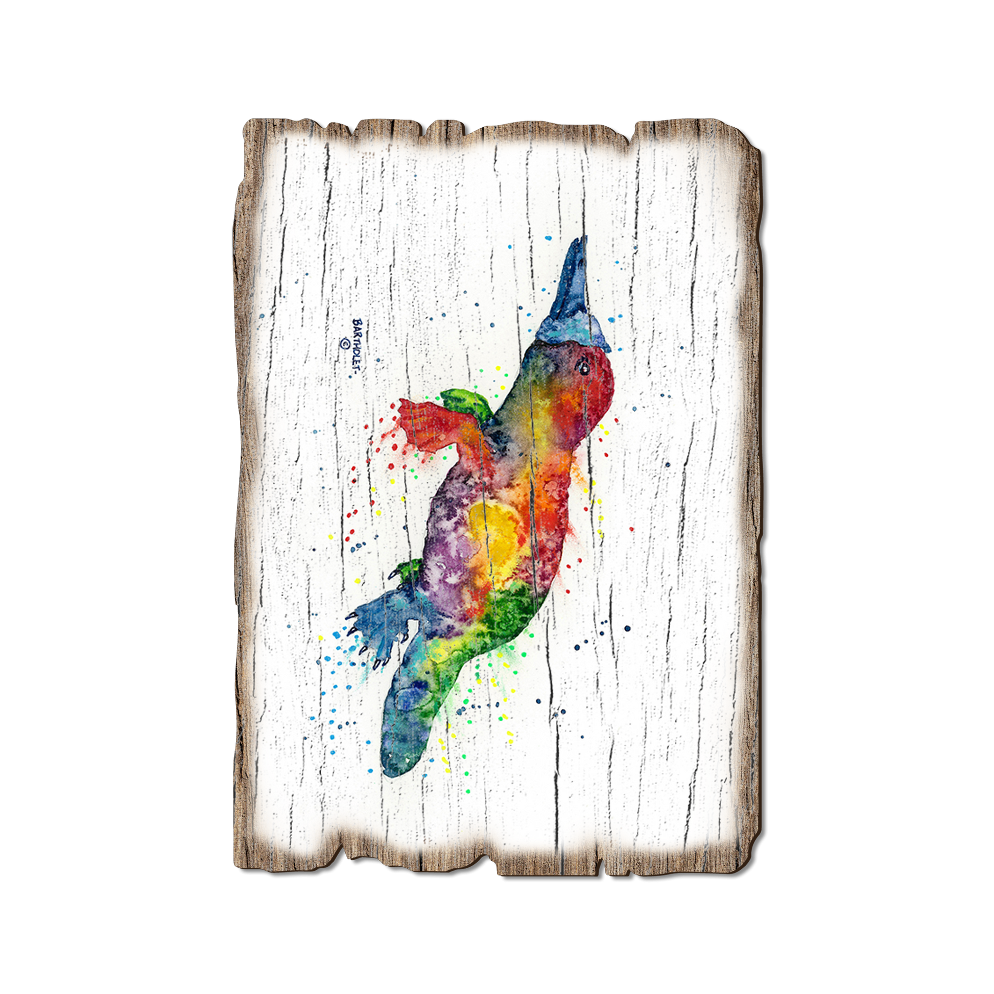 Ornament: Weathered Edge - Bartholet's Rainbow Platypus (Pack of 5)