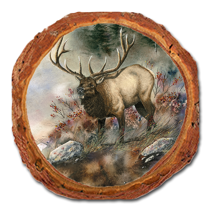Coaster: Live Edge - Bartholet's Ridge Runner (Pack of 5)