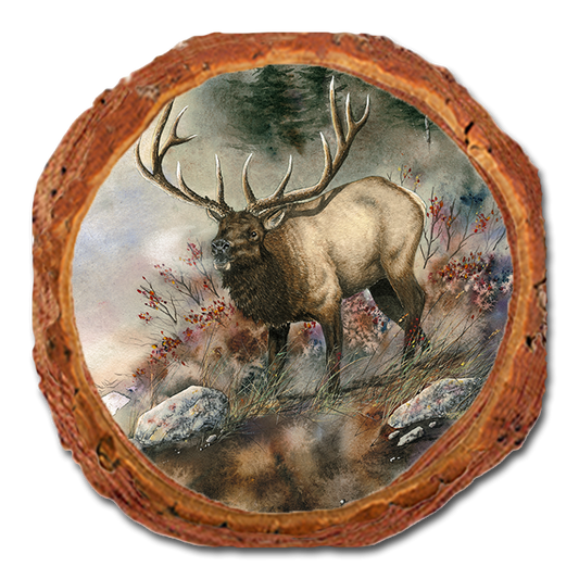 Coaster: Live Edge - Bartholet's Ridge Runner (Pack of 5)
