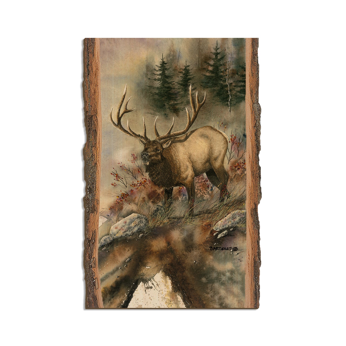 Bartholet's Ridge Runner  - Live Edge Live Edge Magnet (5pk // $2.80ea)
