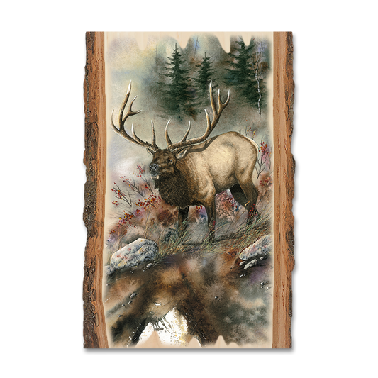 Magnet: Live Edge - Bartholet's Ridge Runner