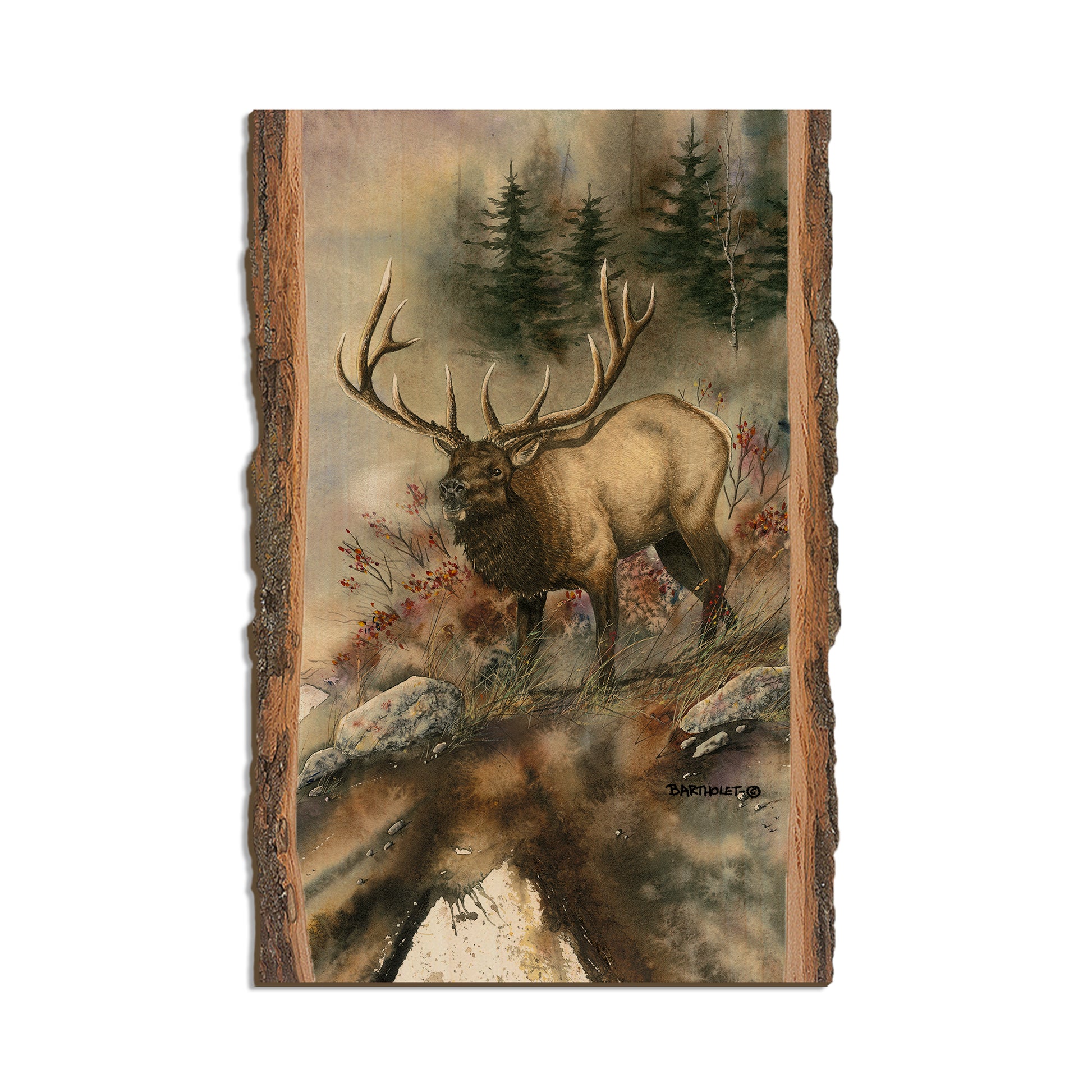 Bartholet's Ridge Runner  - Live Edge Live Edge Postcard (5pk // $2.80ea)