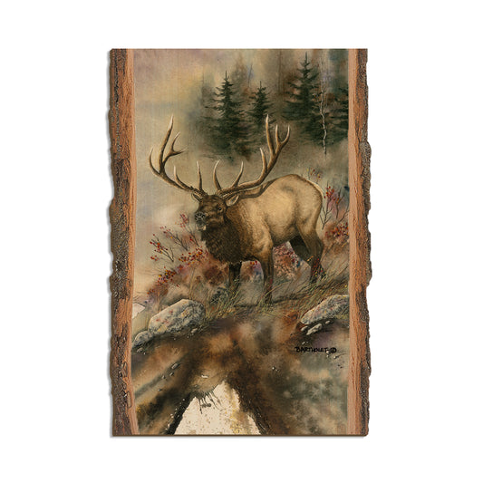 Bartholet's Ridge Runner  - Live Edge Live Edge Postcard (5pk // $2.80ea)