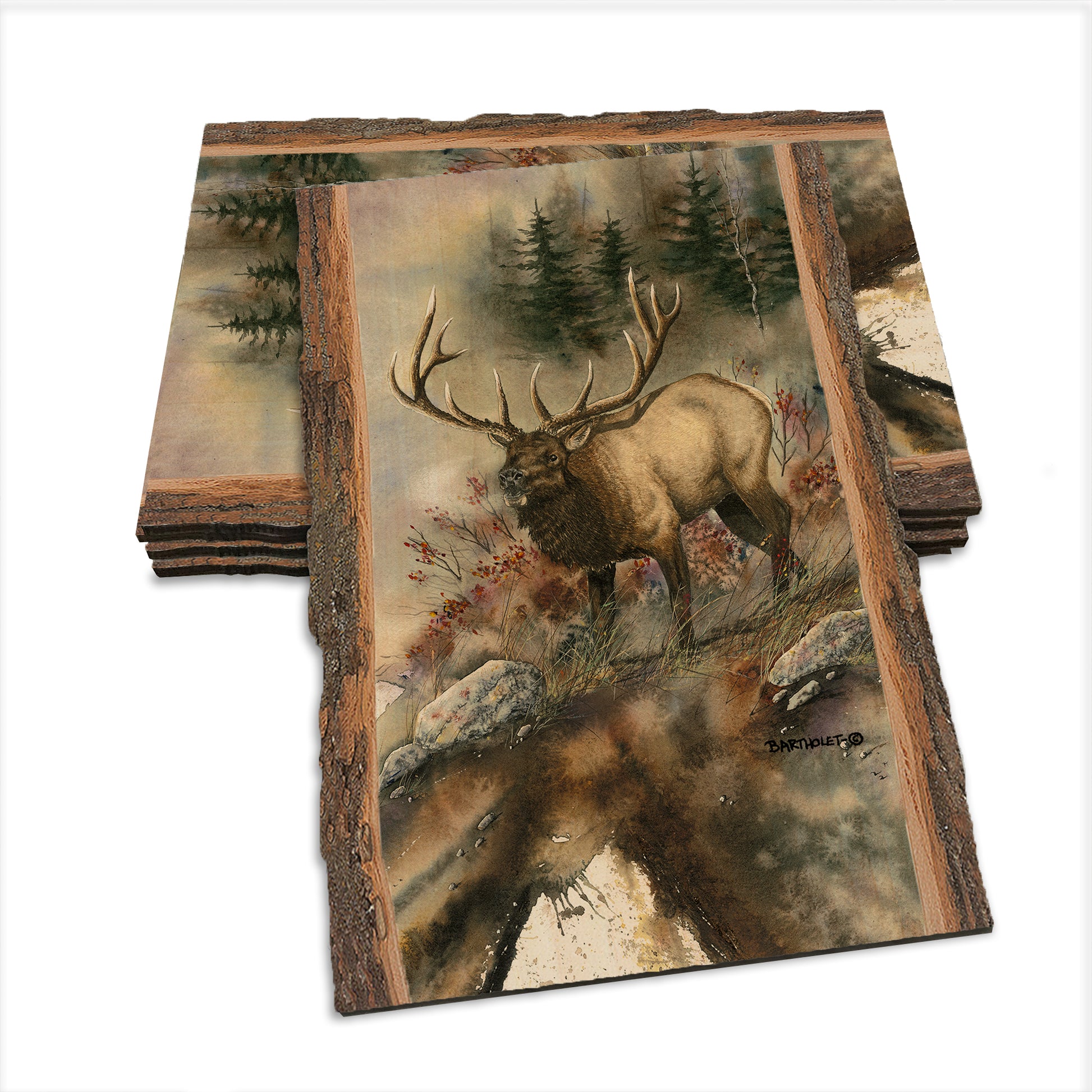 Bartholet's Ridge Runner  - Live Edge Live Edge Postcard (5pk // $2.80ea)