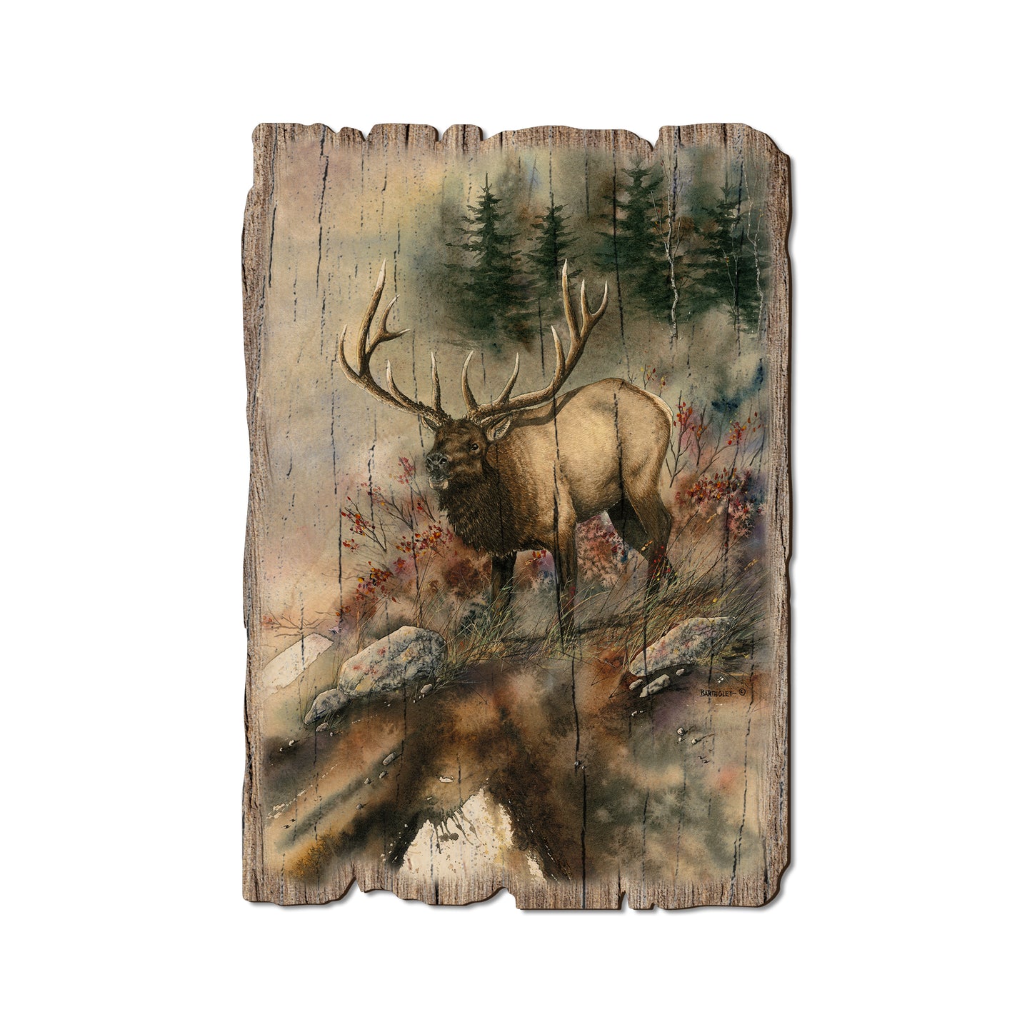 Bartholet's Ridge Runner - Rustic Edge Postcards & Magnets Rustic Edge Postcard (5pk // $2.80ea)