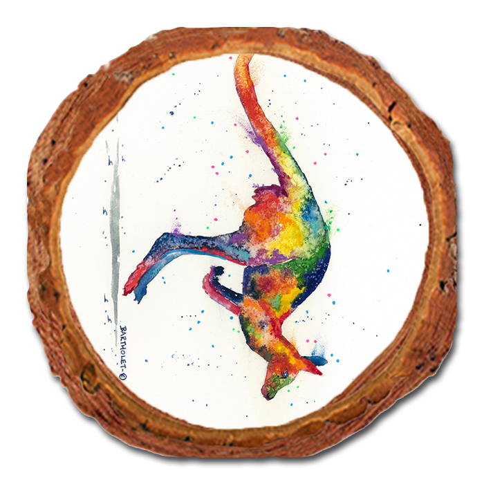Coaster: Live Edge - Bartholet's Rainbow Roo (Pack of 5)