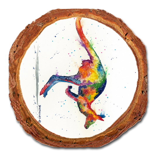 Coaster: Live Edge - Bartholet's Rainbow Roo (Pack of 5)
