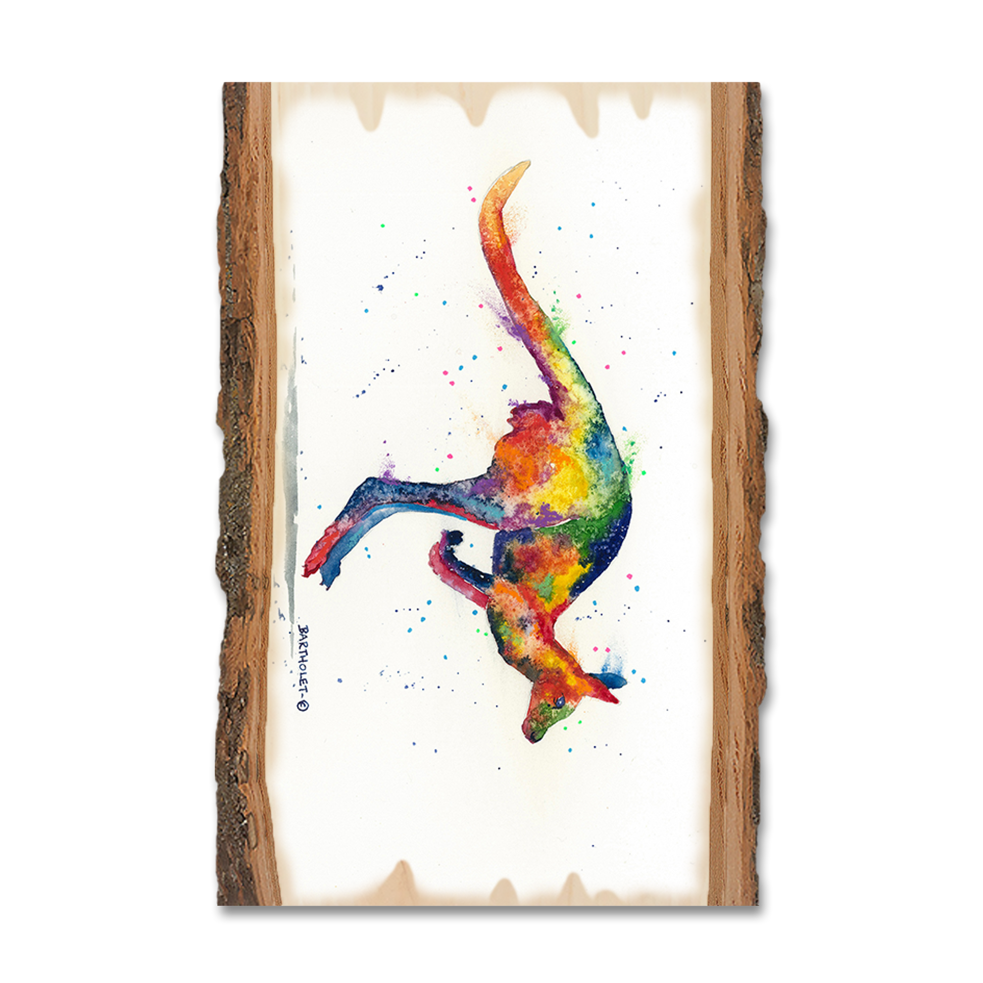 Magnet: Live Edge - Bartholet's Rainbow Roo
