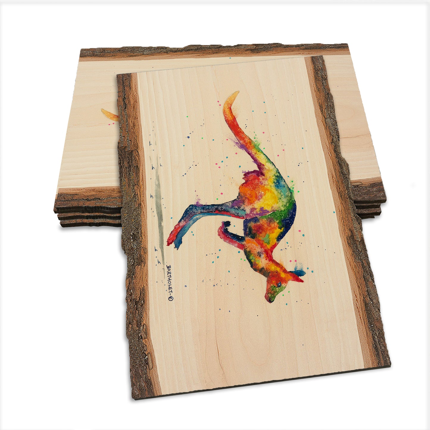 Bartholet's Rainbow Roo  - Live Edge Live Edge Postcard (5pk // $2.80ea)