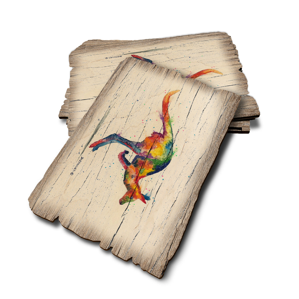 Bartholet's Rainbow Roo - Weathered Edge Rustic Edge Postcard (5pk // $2.80ea)