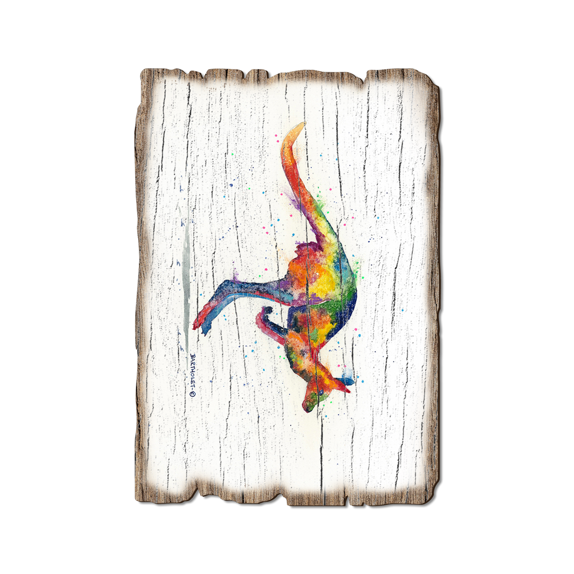 Postcard: Weathered Edge - Bartholet's Rainbow Roo (Pack of 5)