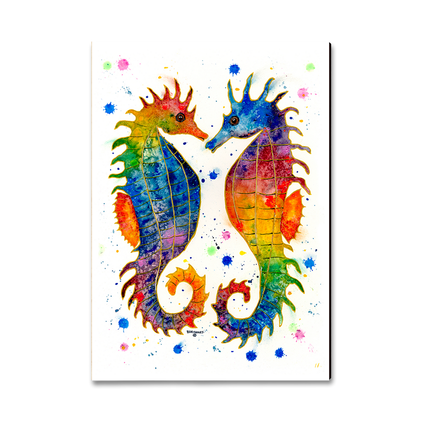 Magnet: Classic Edge - Bartholet's Rainbow Seahorses
