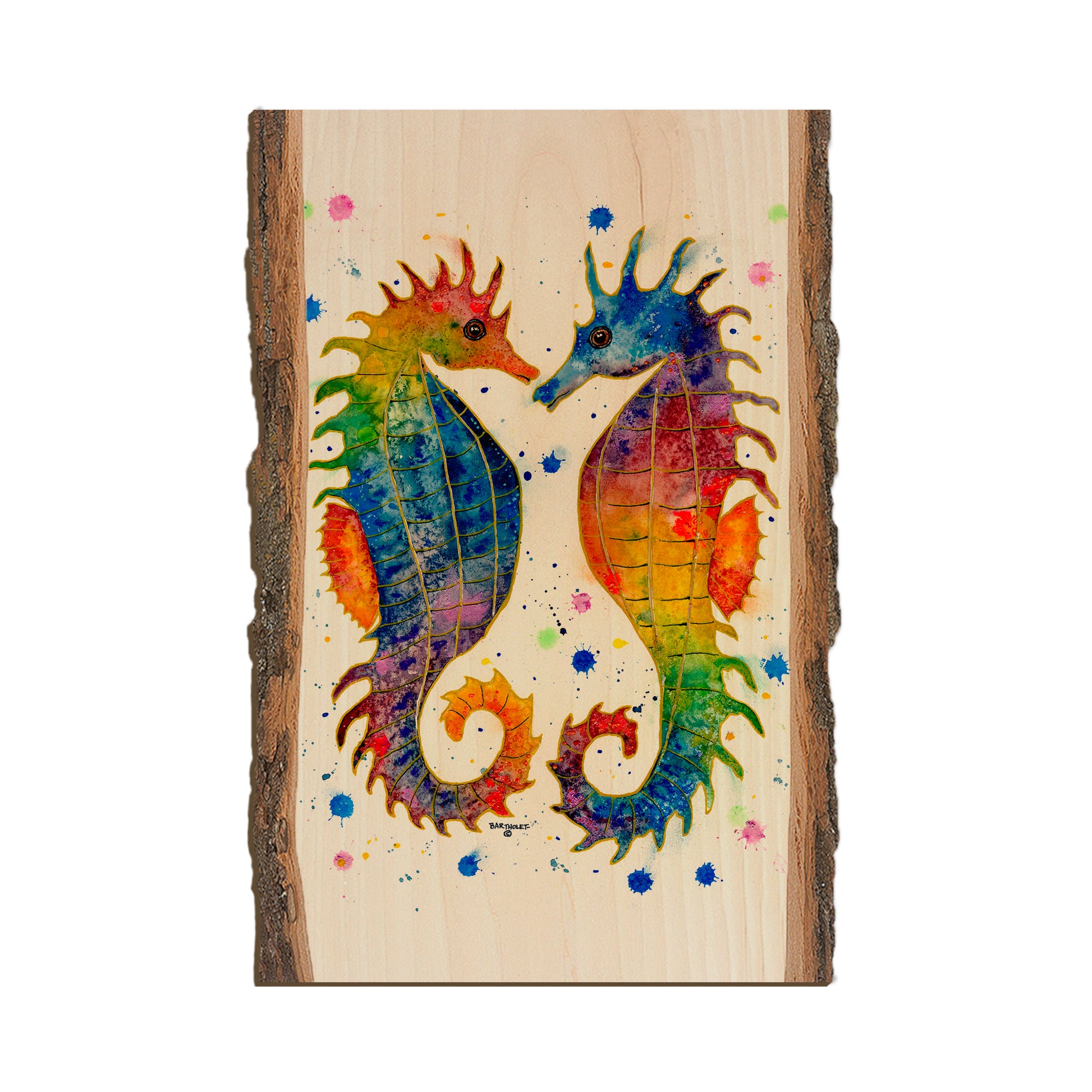 Bartholet's Rainbow Seahorses  - Live Edge Live Edge Postcard (5pk // $2.80ea)