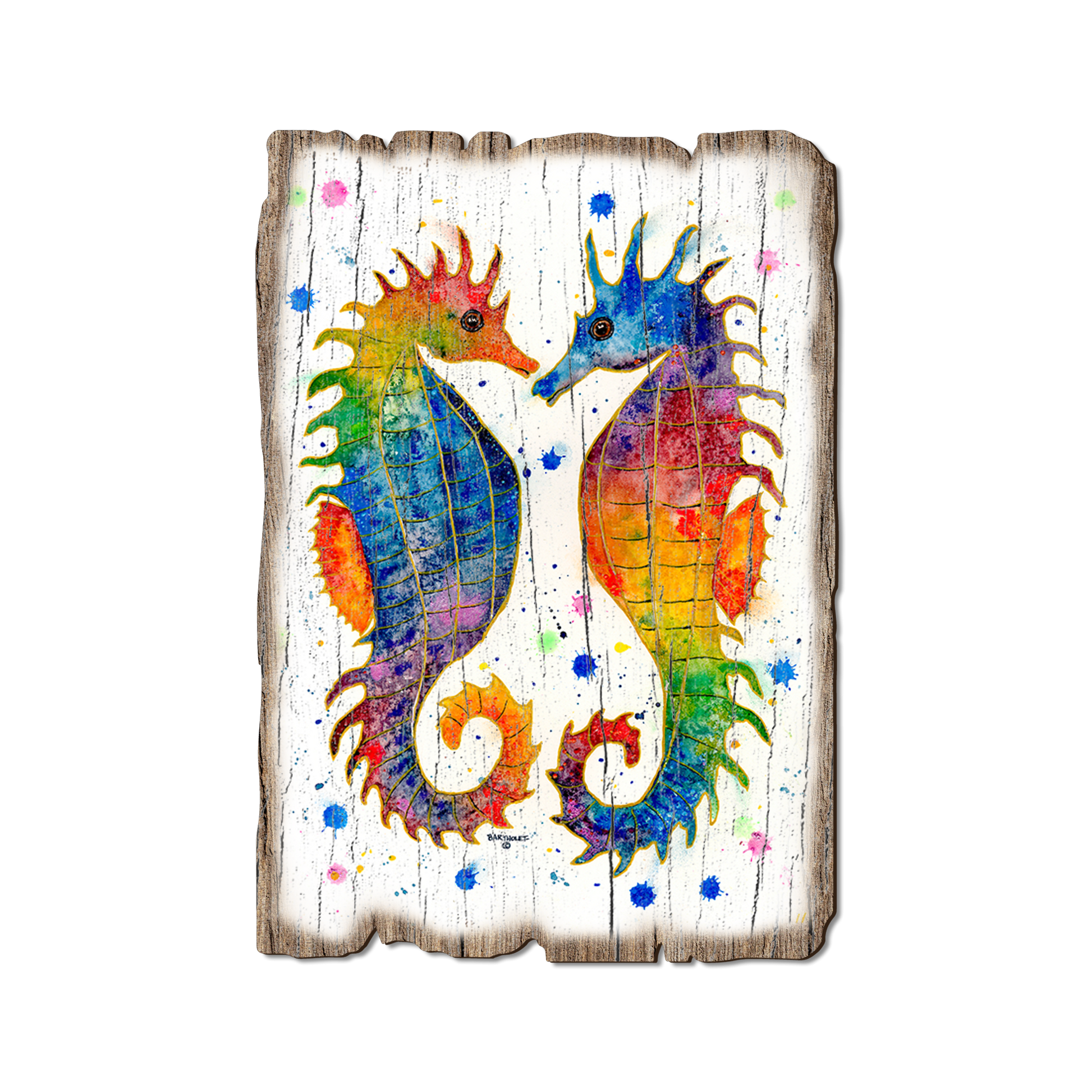 Postcard: Weathered Edge - Bartholet's Rainbow Seahorses (Pack of 5)