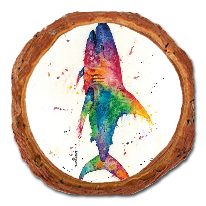 Coaster: Live Edge - Bartholet's Rainbow Shark (Pack of 5)