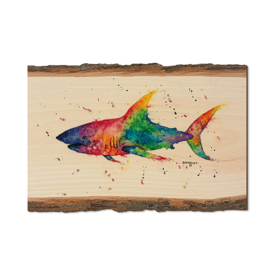 Bartholet's Rainbow Shark  - Live Edge Live Edge Postcard (5pk // $2.80ea)