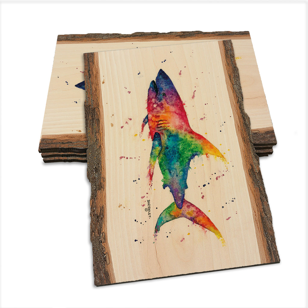 Bartholet's Rainbow Shark  - Live Edge Live Edge Postcard (5pk // $2.80ea)
