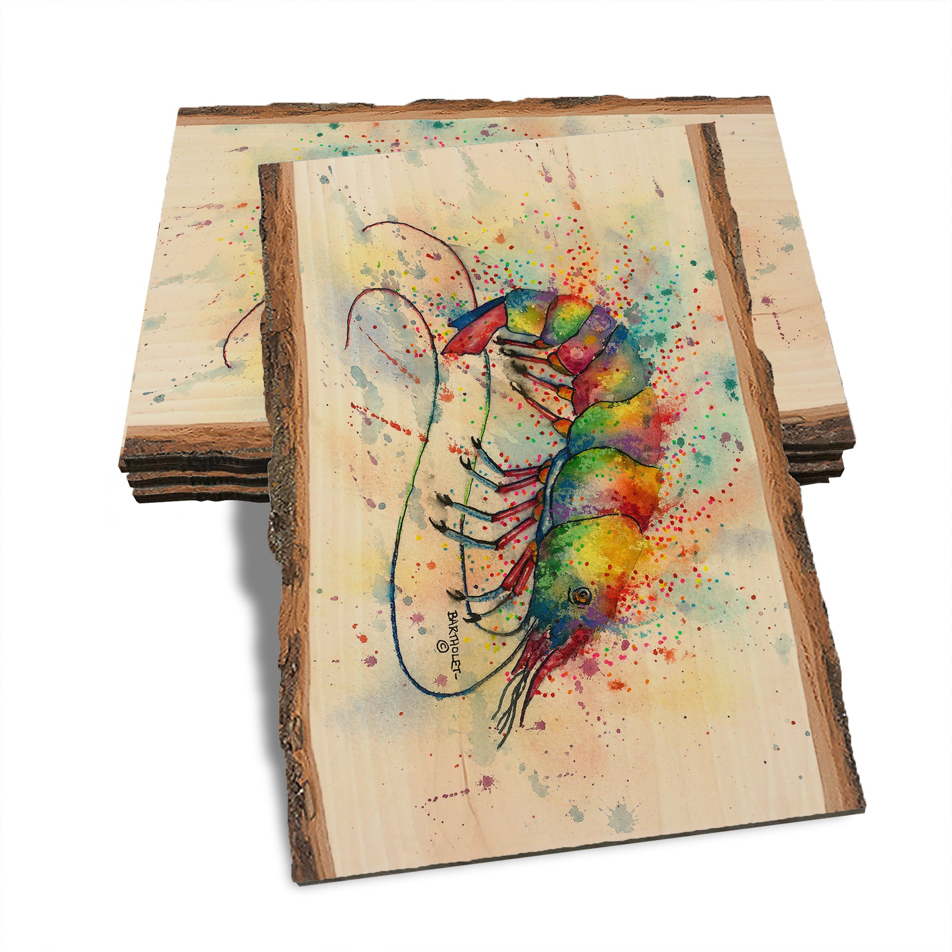 Bartholet's Rainbow Shark  - Live Edge Live Edge Postcard (5pk // $2.80ea)
