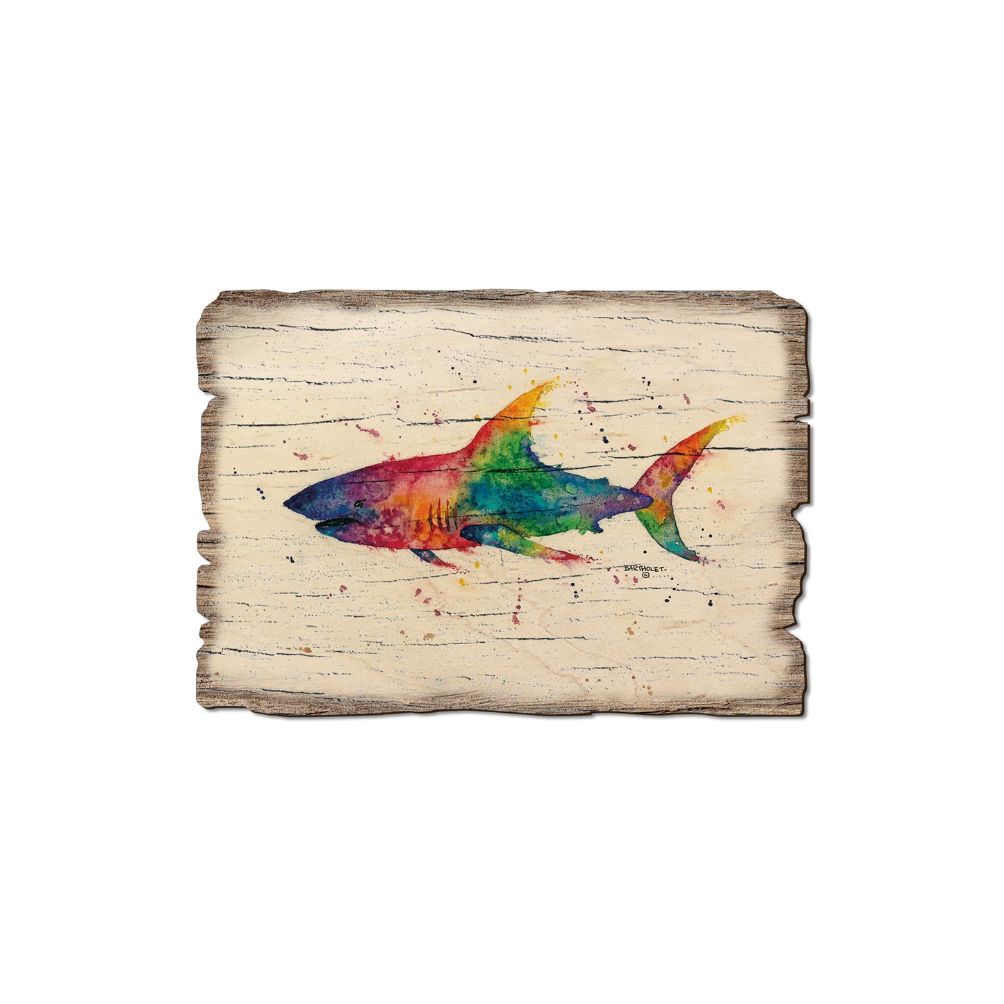 Bartholet's Rainbow Shark - Rustic Edge Postcards & Magnets Rustic Edge Magnet (5pk // $2.80ea)