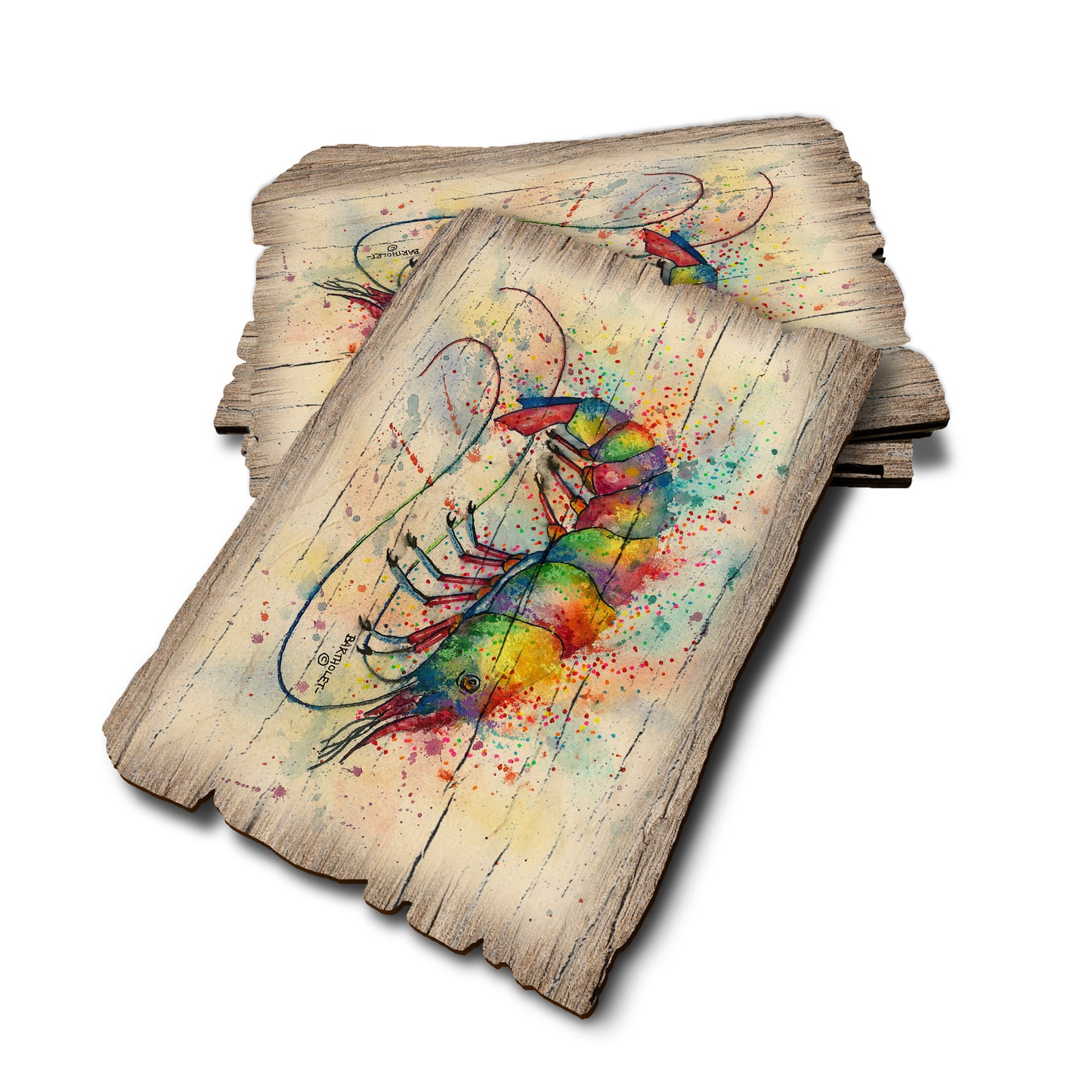 Bartholet's Rainbow Shark - Weathered Edge Rustic Edge Postcard (5pk // $2.80ea)