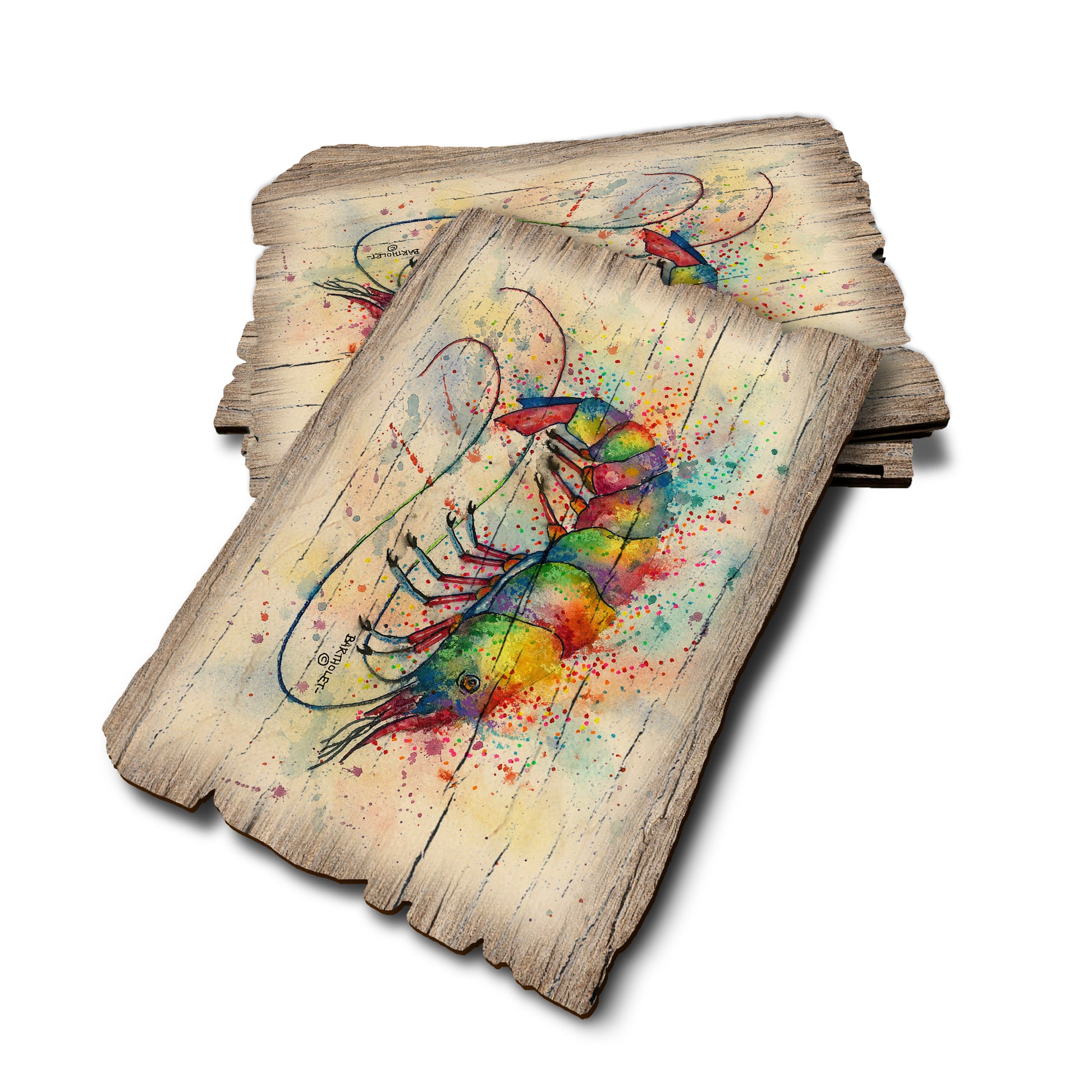 Bartholet's Rainbow Shark - Weathered Edge Rustic Edge Postcard (5pk // $2.80ea)