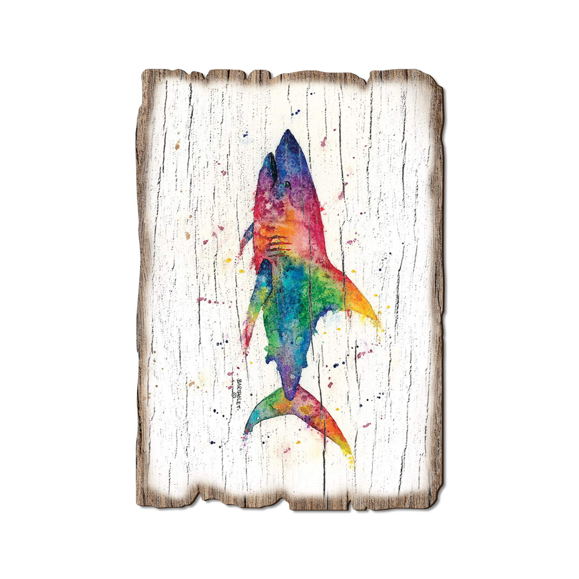 Postcard: Weathered Edge - Bartholet's Rainbow Shark (Pack of 5)