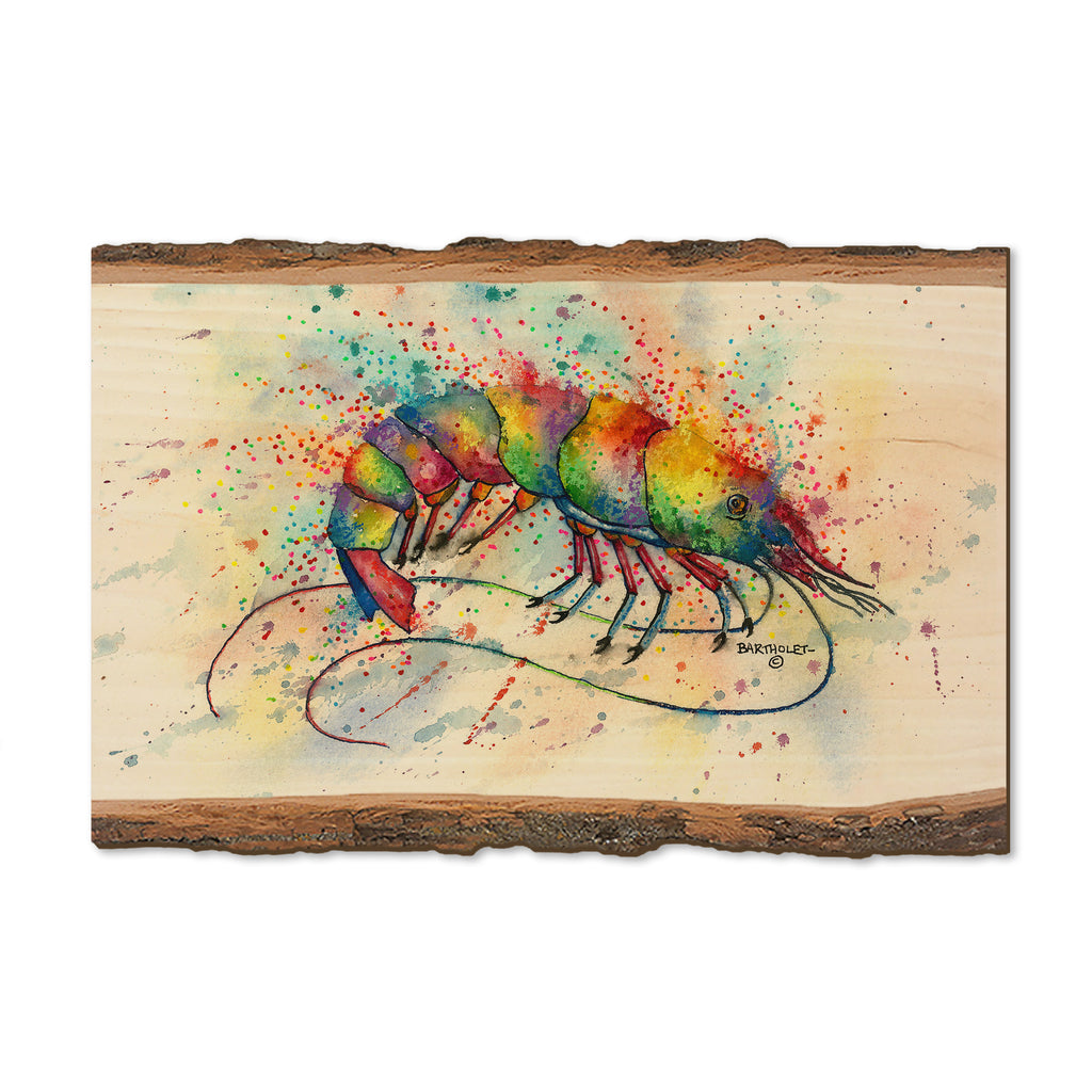 Bartholet's Rainbow Shrimp - Live Edge Magnet Live Edge Postcard (5pk // $2.80ea)
