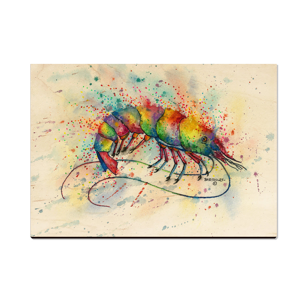 Bartholet's Rainbow Shrimp - Magnet Classic Edge Postcard (5pk // $2.80ea)