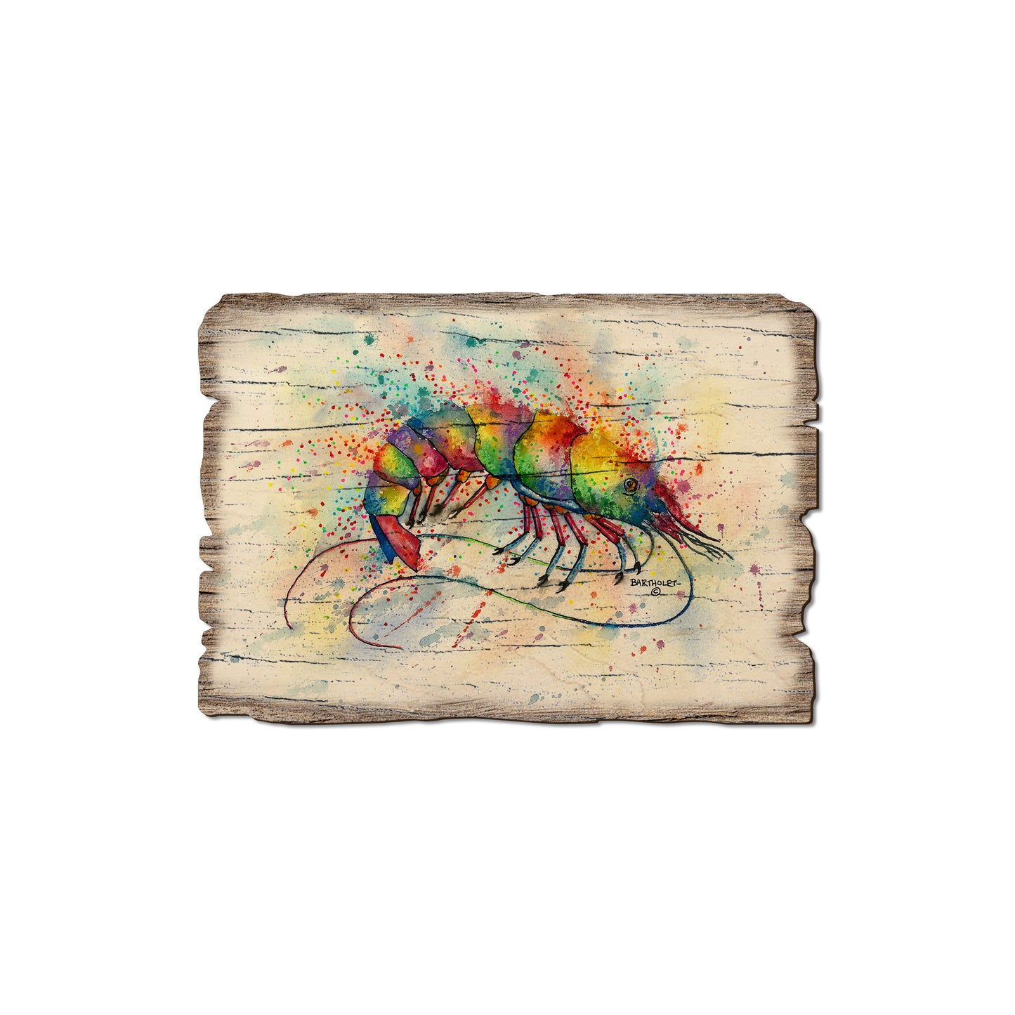 Bartholet's Rainbow Shrimp - Weathered Edge Magnet Weathered Edge Magnet (5pk // $2.80ea)
