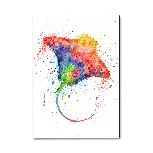 Magnet: Classic Edge - Bartholet's Rainbow Stingray