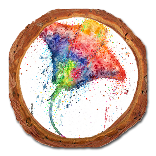 Coaster: Live Edge - Bartholet's Rainbow Stingray (Pack of 5)