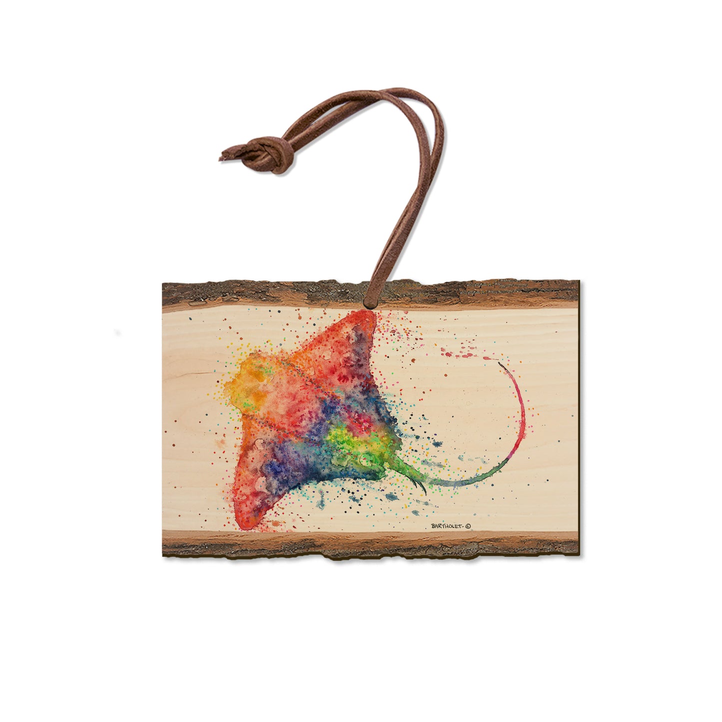 Bartholet's Rainbow Stingray - Live Edge Magnet Live Edge Ornament (5pk // $2.80ea)