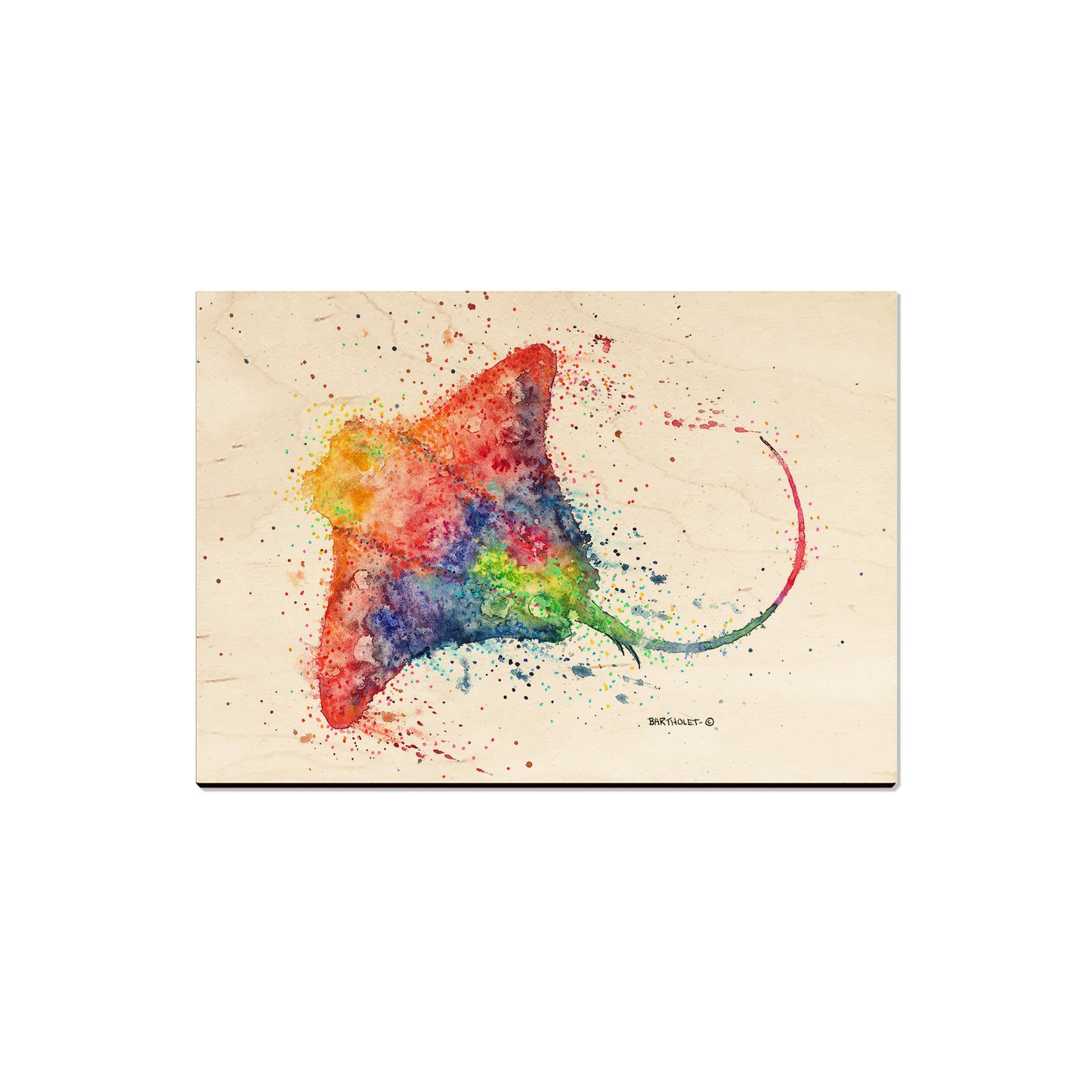 Bartholet's Rainbow Stingray - Magnet Classic Edge Magnet (5pk // $2.80ea)