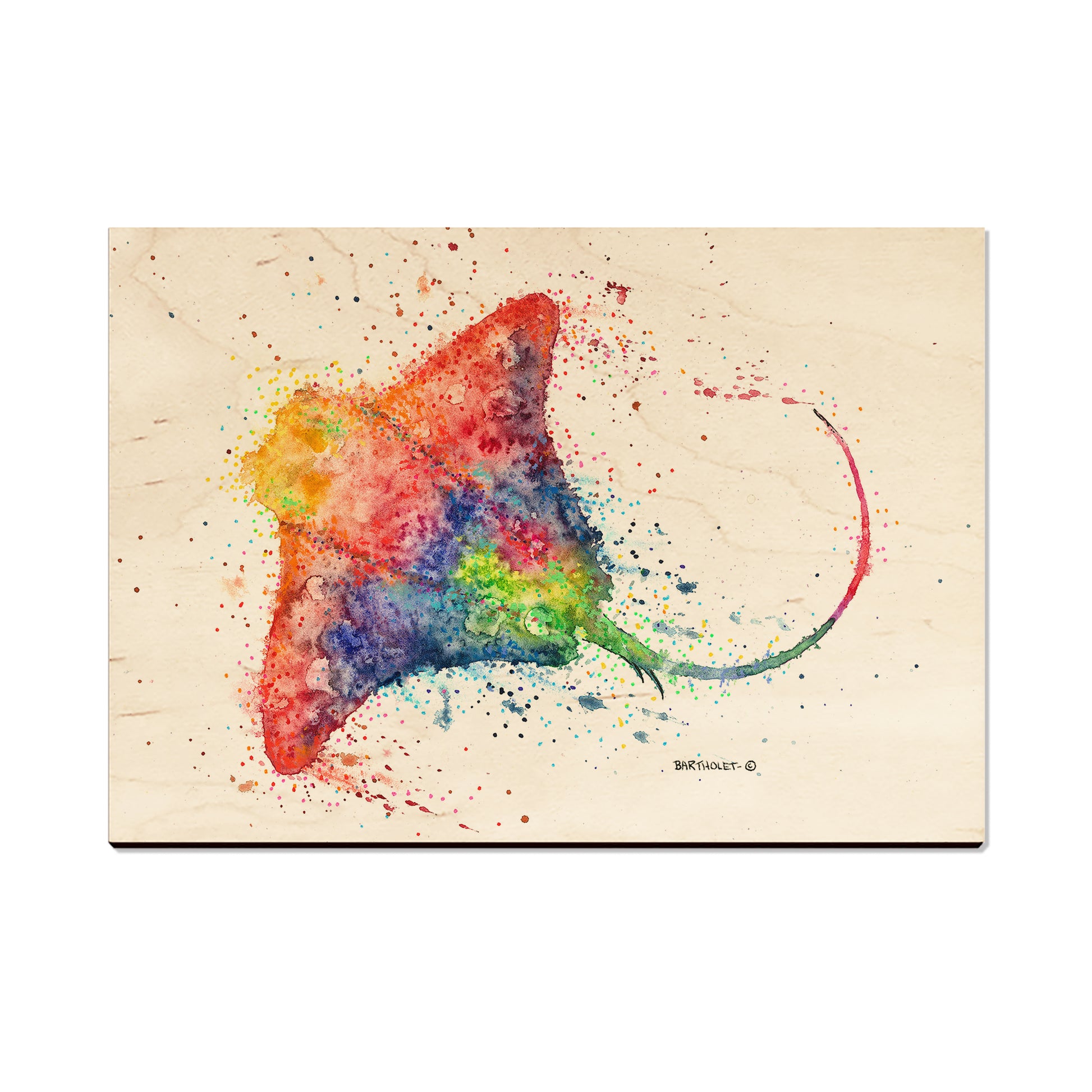 Bartholet's Rainbow Stingray - Magnet Classic Edge Postcard (5pk // $2.80ea)