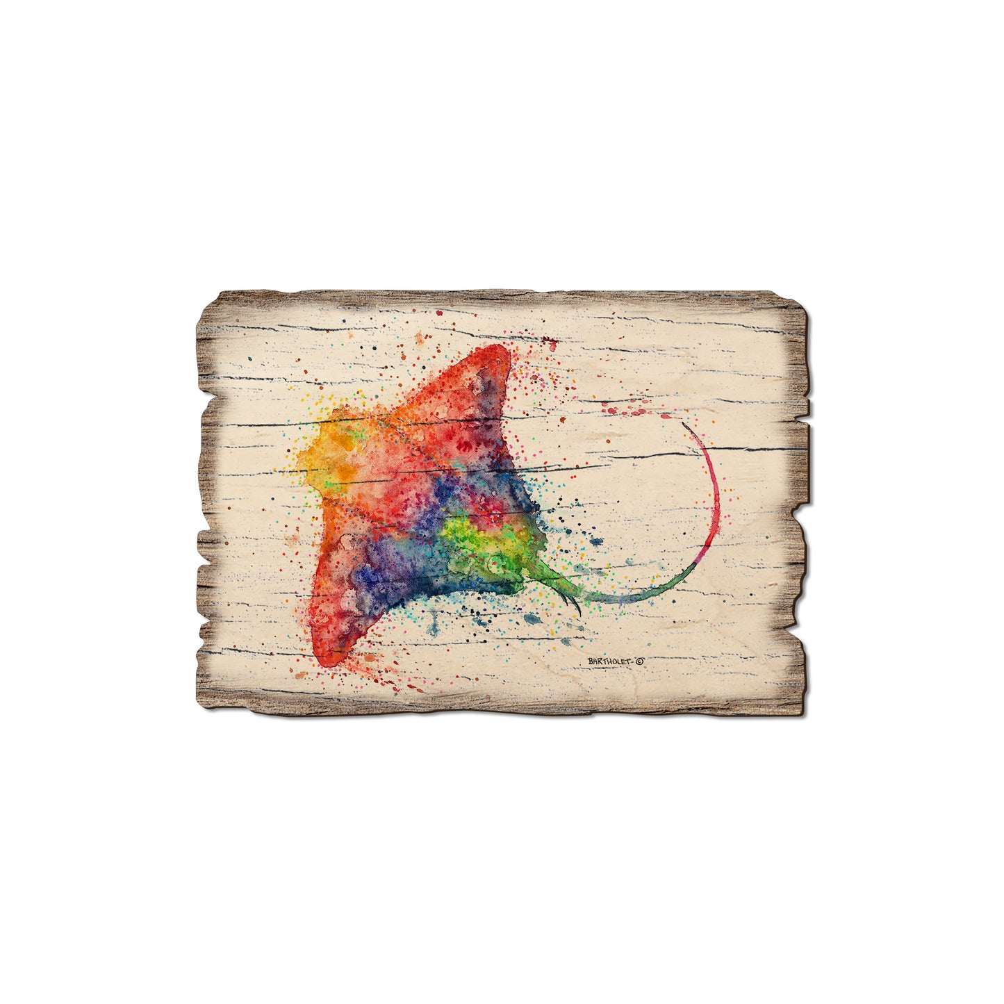 Bartholet's Rainbow Stingray - Weathered Edge Magnet Weathered Edge Magnet (5pk // $2.80ea)