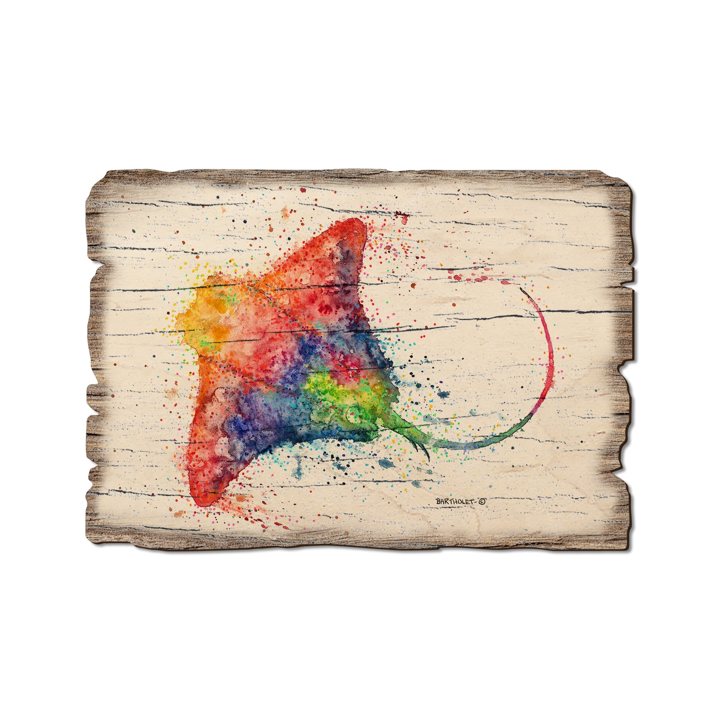 Bartholet's Rainbow Stingray - Weathered Edge Magnet Weathered Edge Postcard (5pk // $2.80ea)