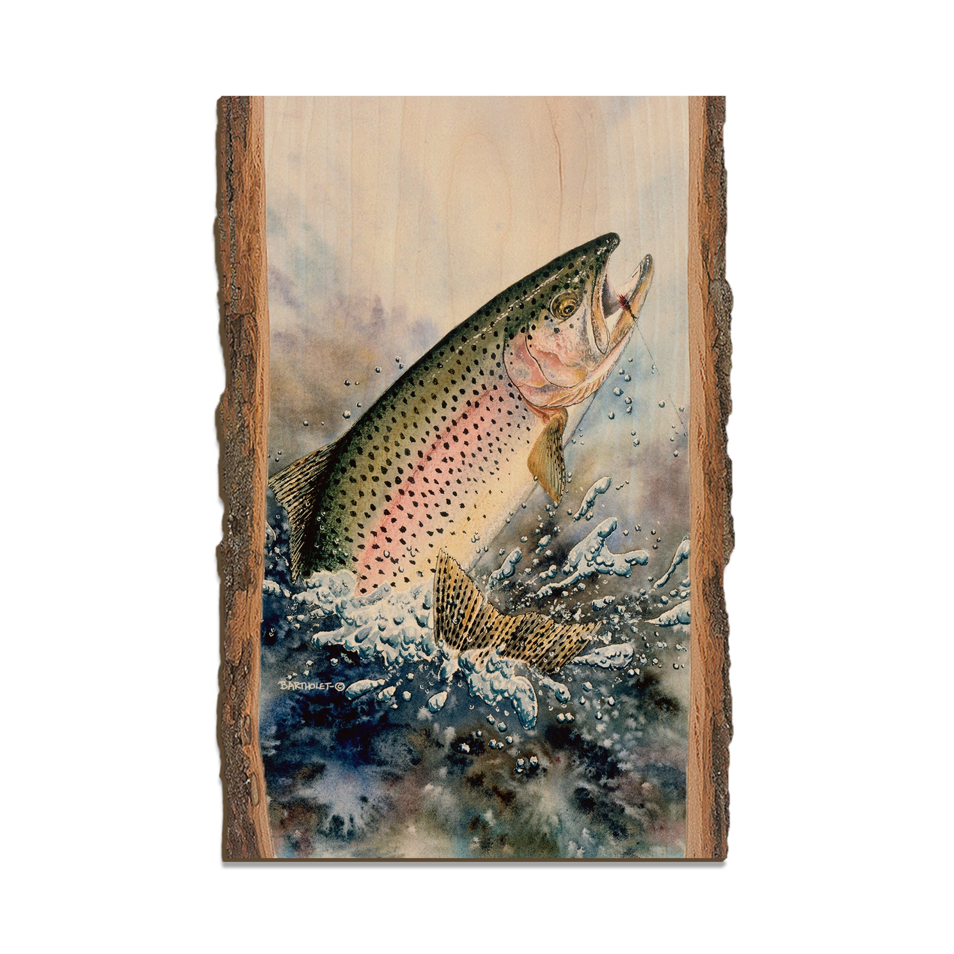 Bartholet's Rainbow Trout  - Live Edge Live Edge Postcard (5pk // $2.80ea)