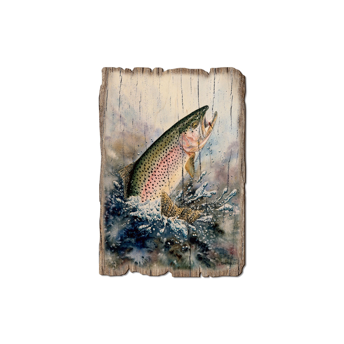 Bartholet's Rainbow Trout - Rustic Edge Postcards & Magnets Rustic Edge Magnet (5pk // $2.80ea)