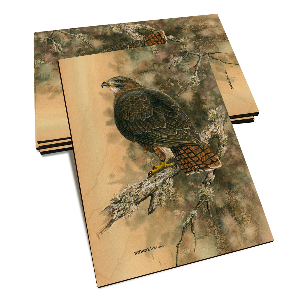 Bartholet's Red Tailed Hawk  - Classic Edge Classic Edge Postcard (5pk // $2.80ea)