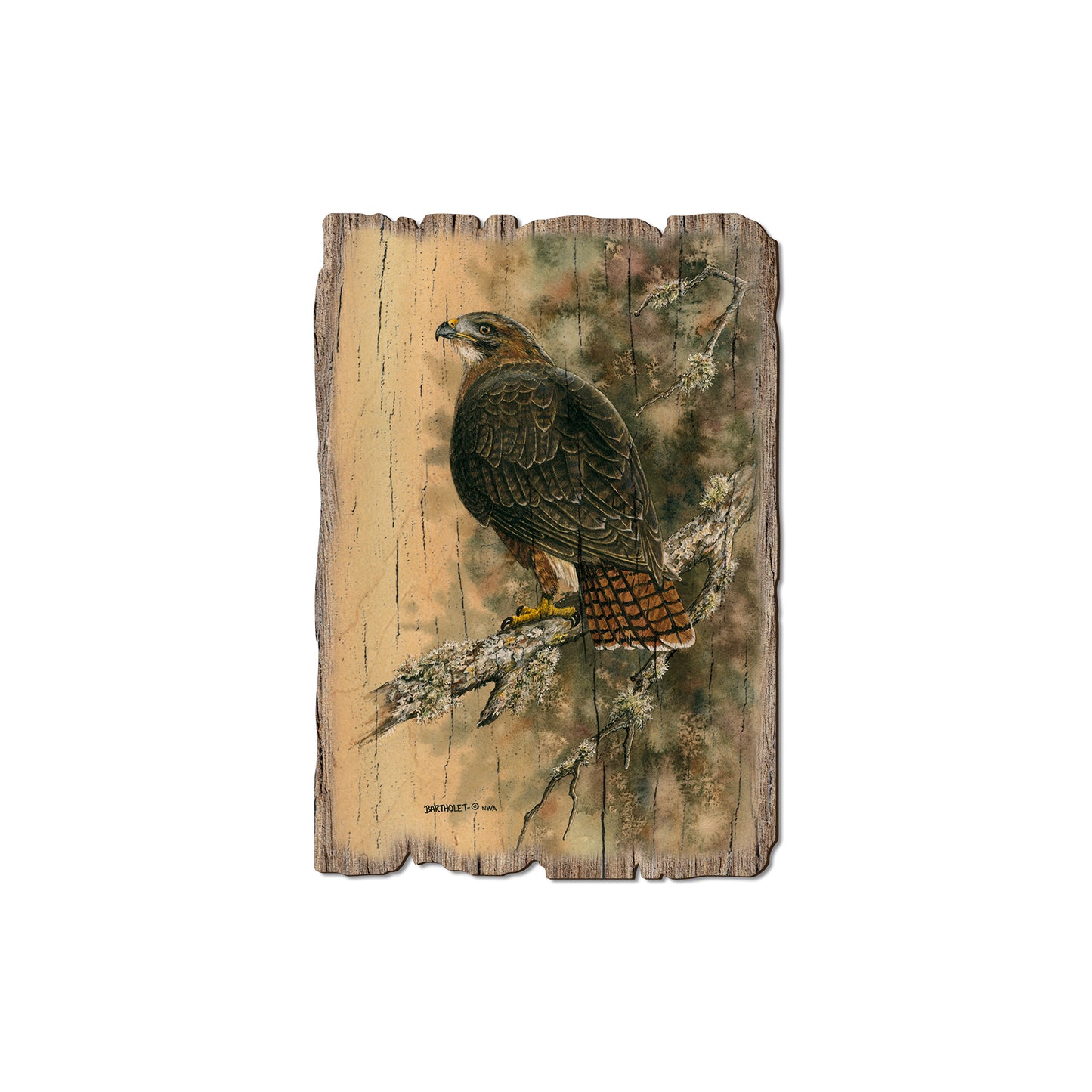Bartholet's Red Tailed Hawk - Rustic Edge Postcards & Magnets Rustic Edge Magnet (5pk // $2.80ea)