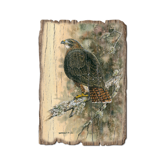Greeting Card: Weathered Edge - Bartholet's Red Tailed Hawk